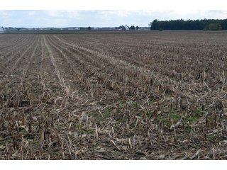 Property photo 79 - EHLE FARMS AUCTION - 118+/- ACRES IN 9 TRACTS IN ALLEN COUNTY, INDIANA
